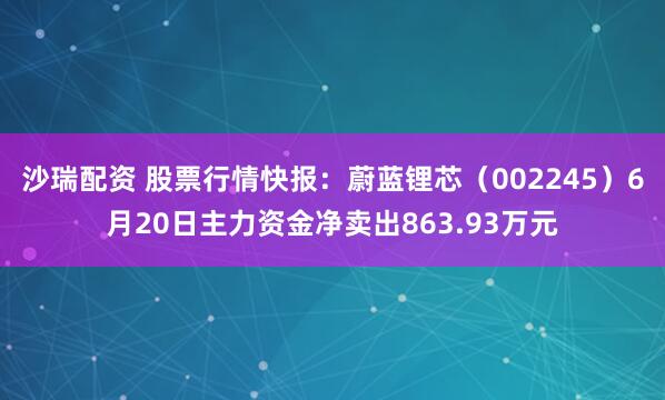 沙瑞配资 股票行情快报：蔚蓝锂芯（002245）6月20日主力资金净卖出863.93万元