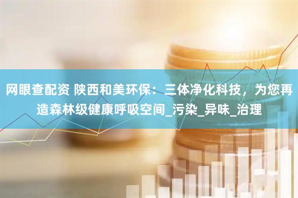 网眼查配资 陕西和美环保：三体净化科技，为您再造森林级健康呼吸空间_污染_异味_治理