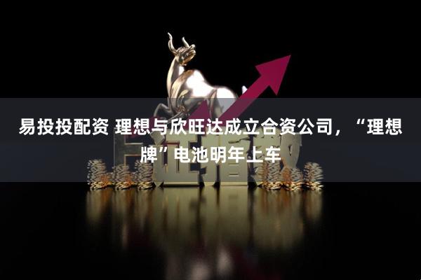 易投投配资 理想与欣旺达成立合资公司，“理想牌”电池明年上车